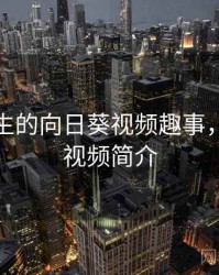 身边发生的向日葵视频趣事，向日葵视频简介