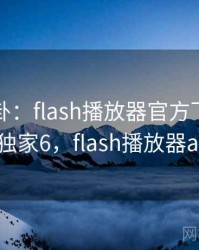 娱乐八卦：flash播放器官方下载成了焦点 · 独家6，flash播放器app下载