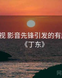 丁冬影视 影音先锋引发的有趣事件，《丁东》