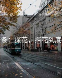 娱乐头条：探花，探花到底是什么