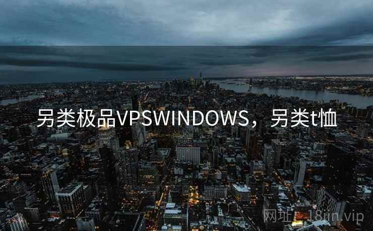 另类极品VPSWINDOWS，另类t恤